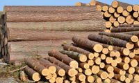 Industria de madera